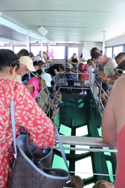 Miami to Key West Shuttle: Dolphin, Snorkeling & More - Round-trip Transportation