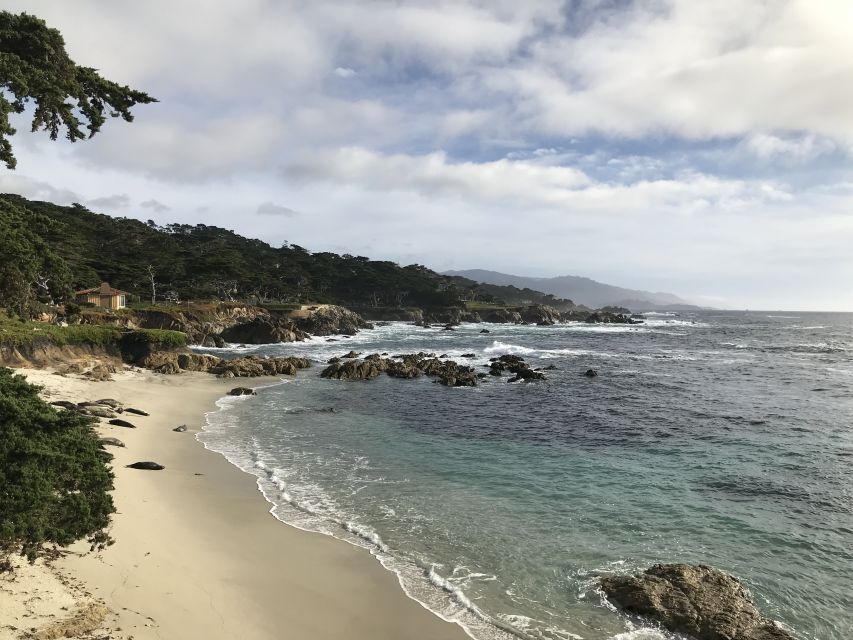 Monterey Peninsula Sightseeing Tour Including 17 Mile Drive - Marine Life Viewing Opportunities