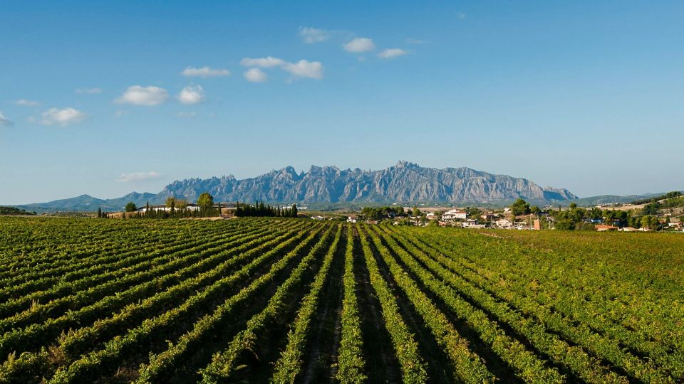 Montserrat & Cava Wineries Day Trip From Barcelona W/ Pickup - Booking and Cancellation Policy