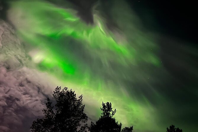 Northern Light Hunt With Minibus to Abisko 7:30 Pm - Cancellation Policy