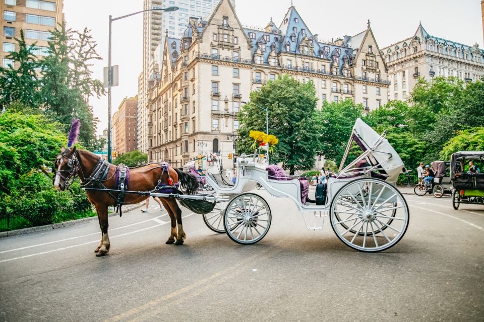 NYC: Guided Central Park Horse Carriage Ride - Frequently Asked Questions