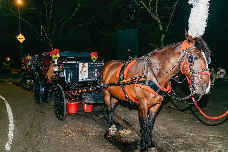 NYC MOONLIGHT HORSE CARRIAGE RIDE Through Central Park - Additional Information