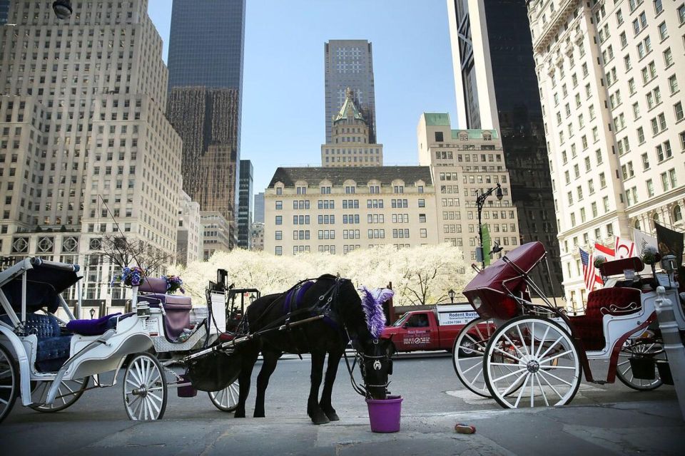 NYC:Guided Central Park Horse Carriage Ride - Frequently Asked Questions