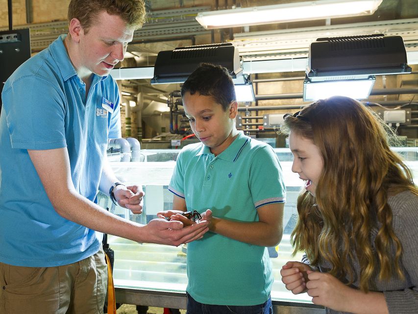 Oberhausen: SEA LIFE Ticket and Behind the Scenes Tour - Inclusions and Meeting Point Information