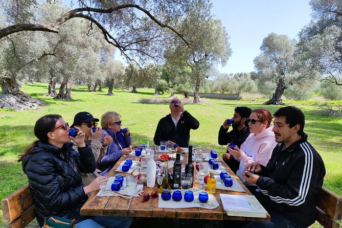 Olive Oil Tasting Under the Shades of Olive Trees / Crete - Private Tour Option