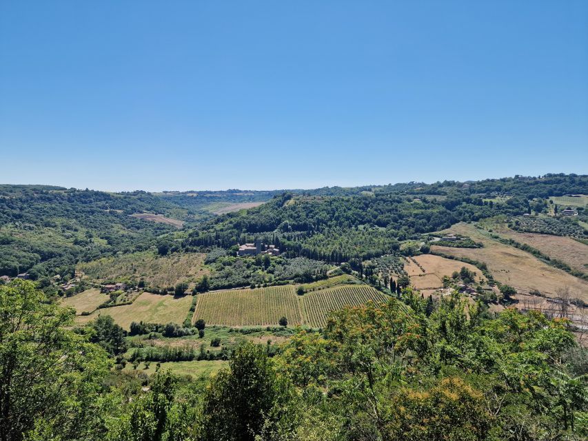 Orvieto the Etruscan City Private Tour From Rome - Flexible Booking and Cancellation Policy