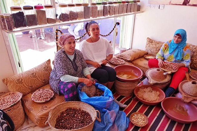 Ourika Valley Day Trip From Marrakech - Transportation and Accessibility