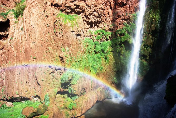 Ouzoud Waterfalls Tour From Marrakech In Group - Excellent Customer Reviews