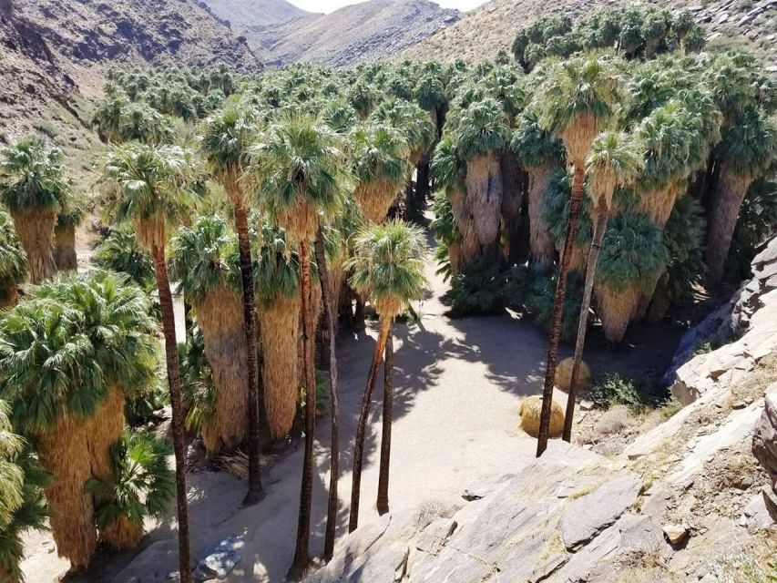 Palm Springs: Indian Canyons Hiking Tour by Jeep - Tour Logistics and Restrictions