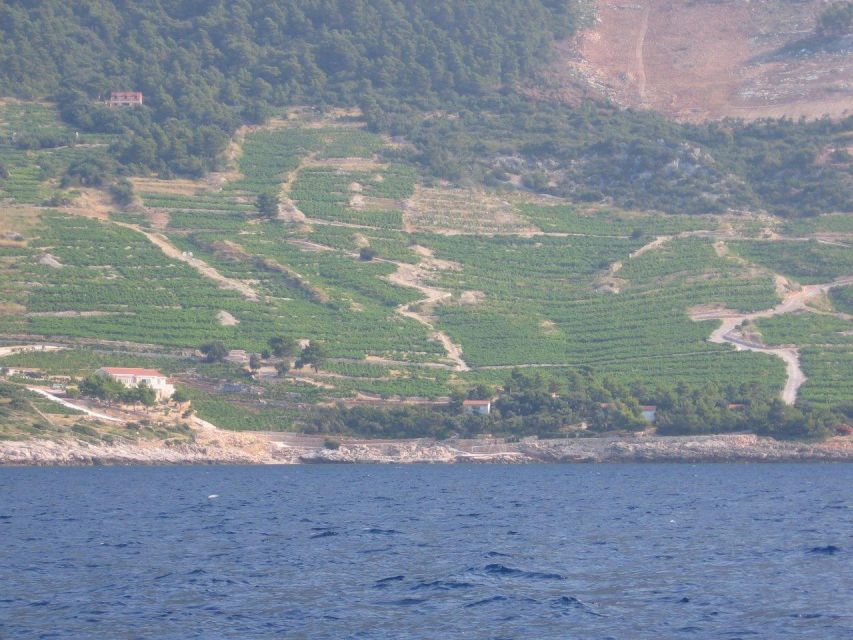 Peljesac Peninsula & Korcula Island Day-Trip From Dubrovnik - Wine Tasting Experience