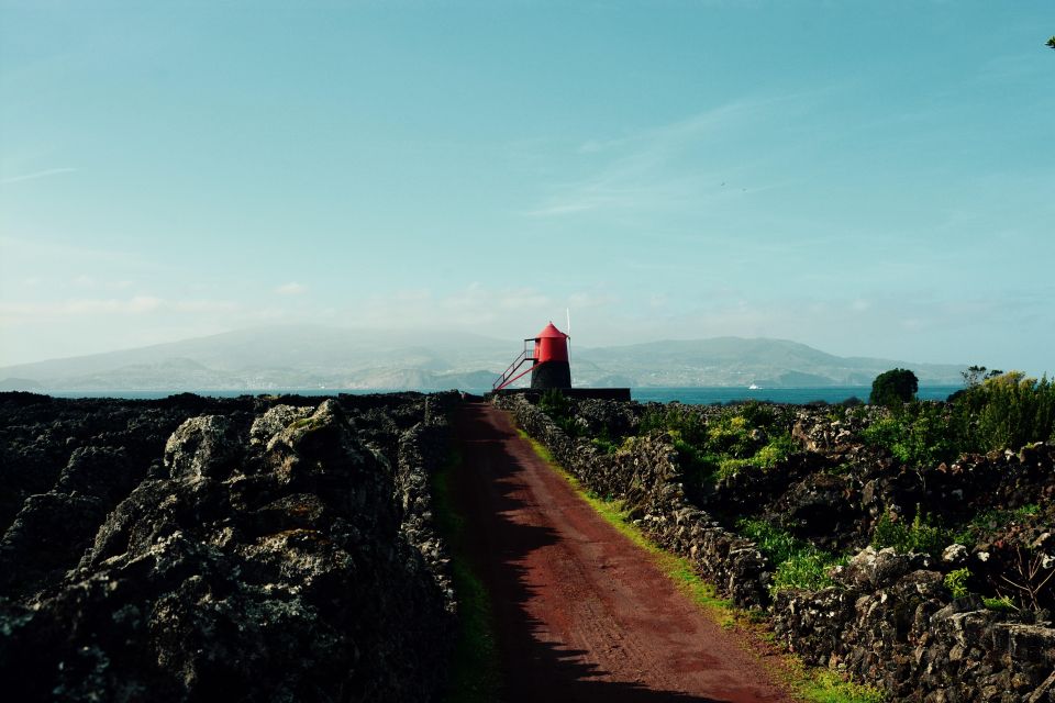 Pico, Azores: Highlights Tour With Wine Tasting and Picnic - Recap