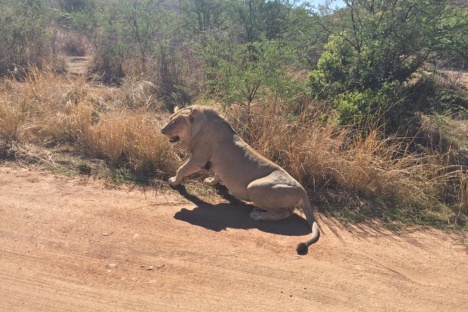 Pilanesberg Camping Safari From Johannesburg - Group Size and Accessibility