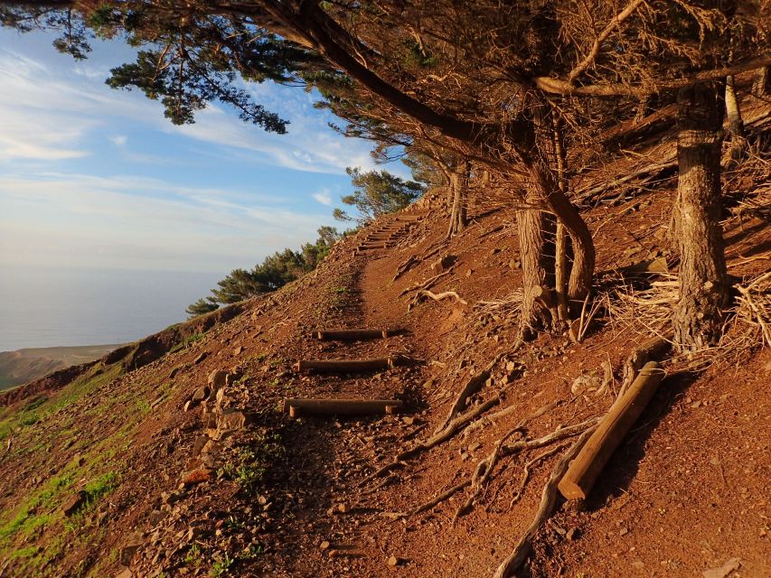 Porto Santo - Pico Do Facho Hiking Tour - Getting There