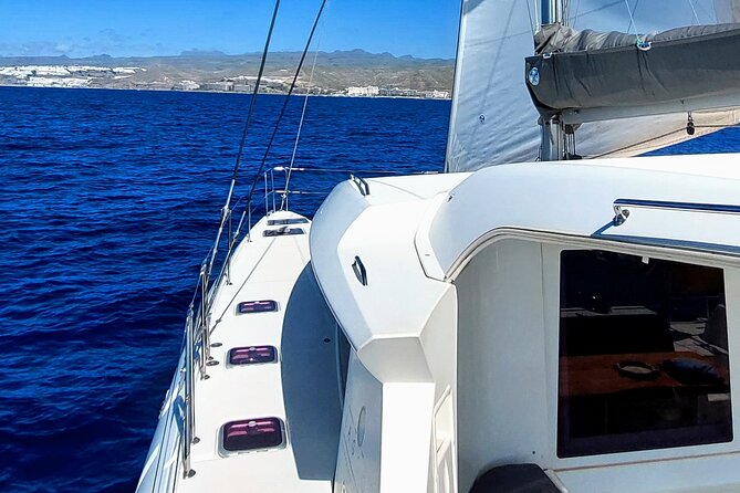 Private 3 Hour Evening Catamaran Cruise in South of Gran Canaria - Additional Information