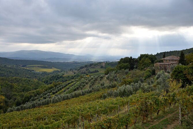 Private Chianti Wine Tour - Accessibility and Logistics