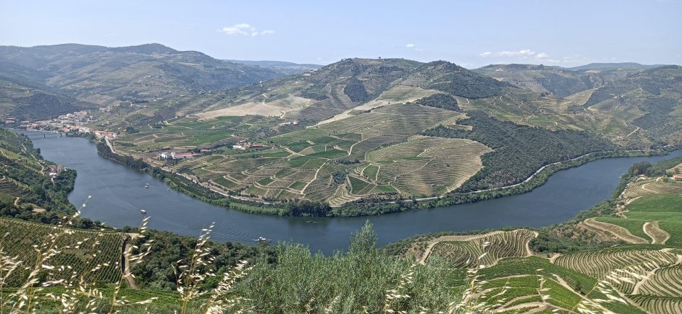 Private Douro Wine Tour - Douro Wine Producers