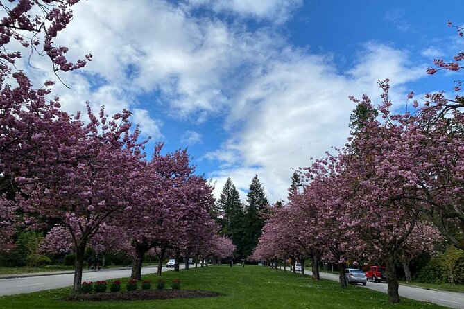 Private Guided Grand City Tour in Vancouver - Multicultural Chinatown Visit