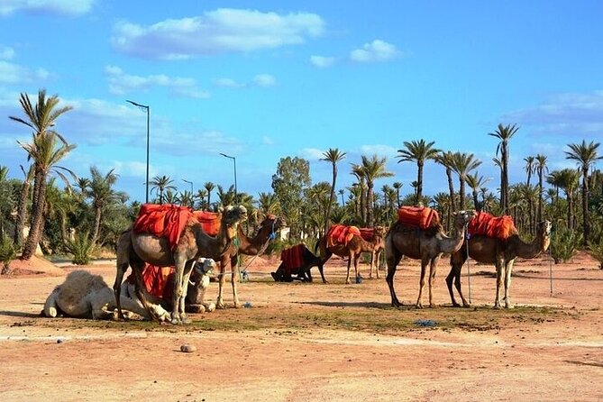 Private Marrakech Day Trip From Casablanca With Free Camel Ride - Booking and Scheduling