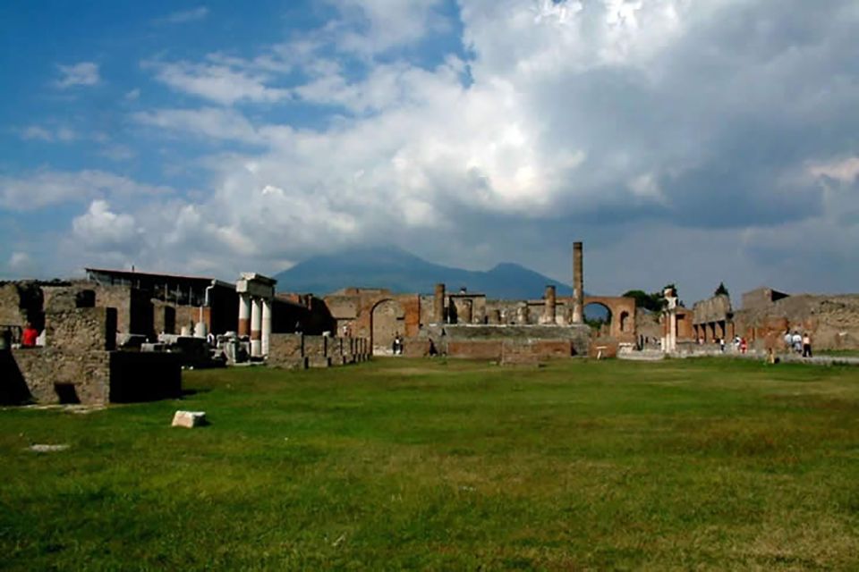 Private Pompeii Tour and Archeological Museum of Naples - Inclusions and Information