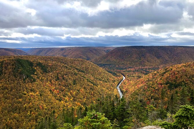 Private Shore Excursion UTV/ATV Side-by-Side Trail Tour - Scenic Trail Experience