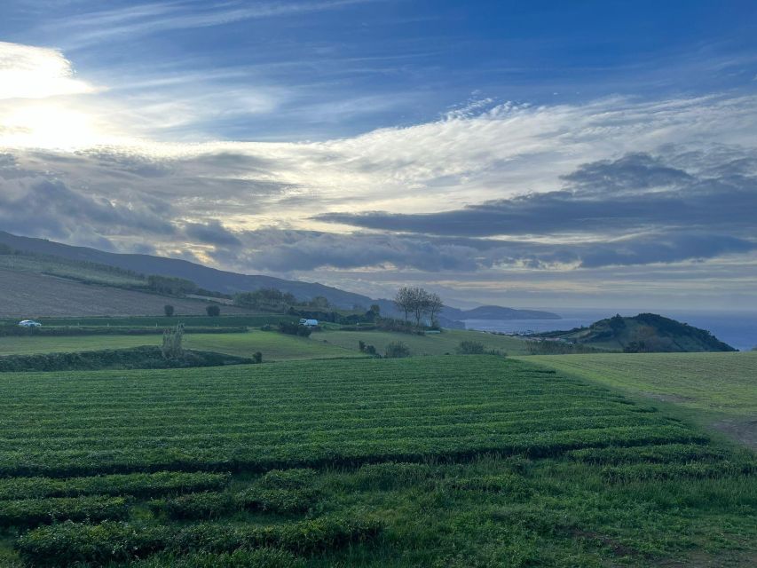 Private Tours Best Spots (Views) in Sao Miguel Island - Entrance Fees Exclusions