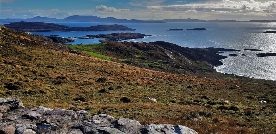 Rail Tour From Dublin: the Ring of Kerry - Booking and Cancellation