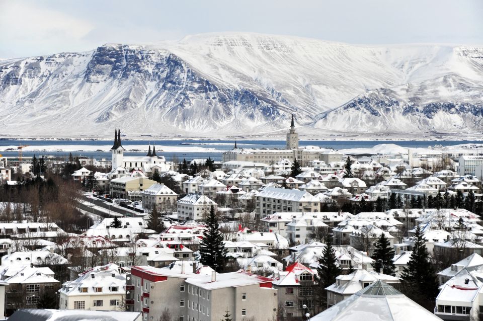 Reykjavik City Walking Tour - Old Harbor and Harpa