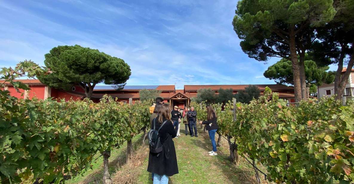 Ribera Del Duero Tour: Full Day Wine Tour From Madrid - Duration and Group Size