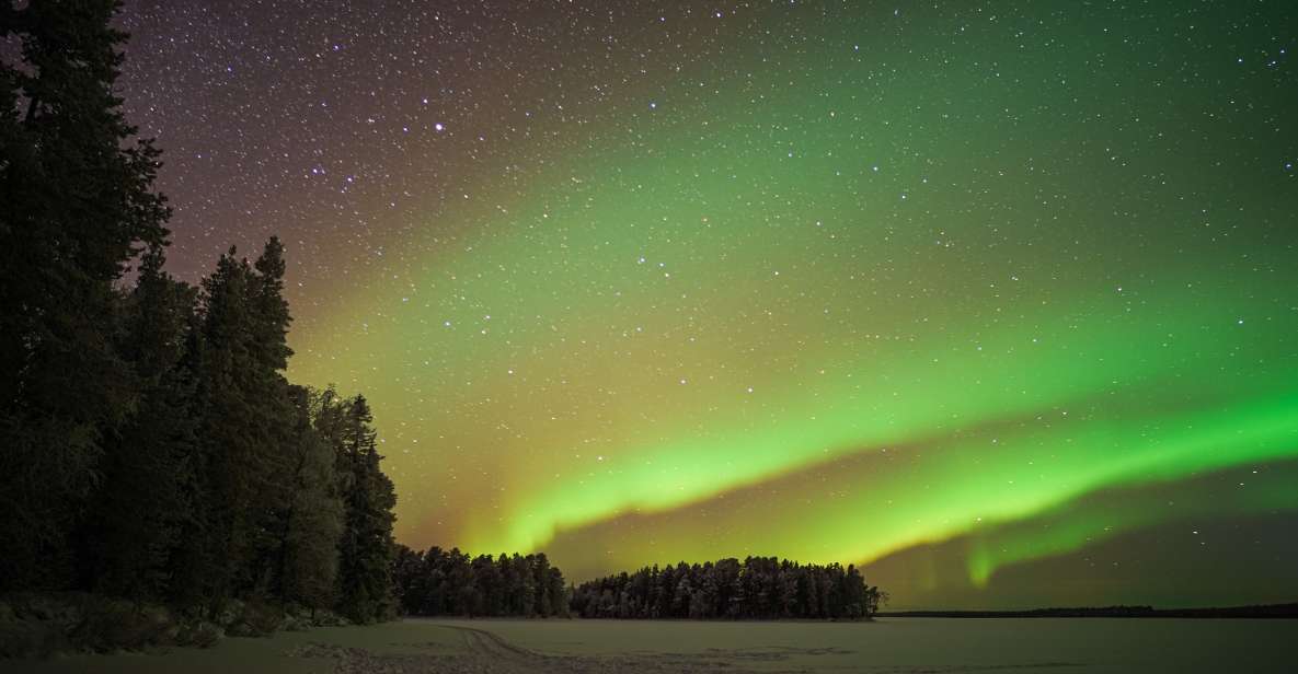 Rovaniemi: Northern Lights Lappish Barbecue - Booking and Reservation