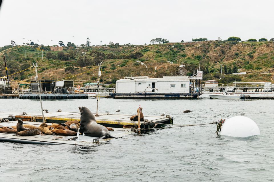 San Diego: SEAL City Tour by Amphibious Bus - Customer Feedback and Recommendations