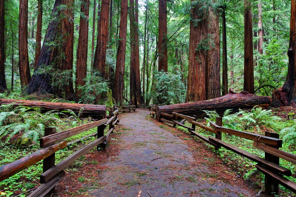 San Francisco: Private Muir Woods, Sausalito Half-Day Trip - Frequently Asked Questions