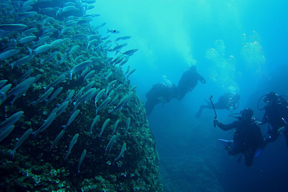 Scuba Diving in Dubrovnik: 1 Dive for Certified Divers - Weather Considerations