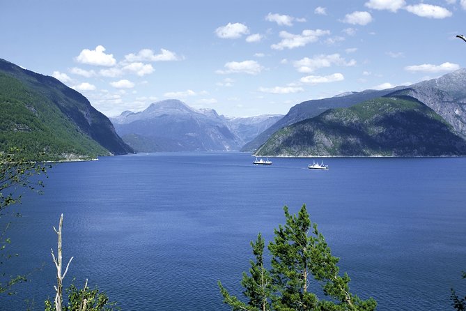 Self-Guided 22-Hour Round Trip From Oslo To Sognefjord With Flåm Railway - Additional Considerations