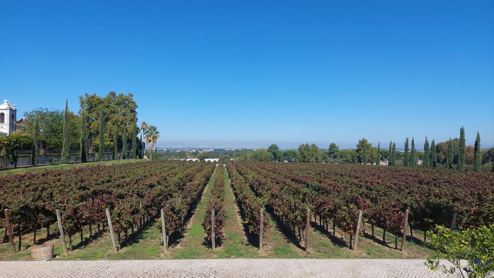 Serra Arrábida: Private Tour With Wine Tasting Premium Car - Cristo-Rei Monument