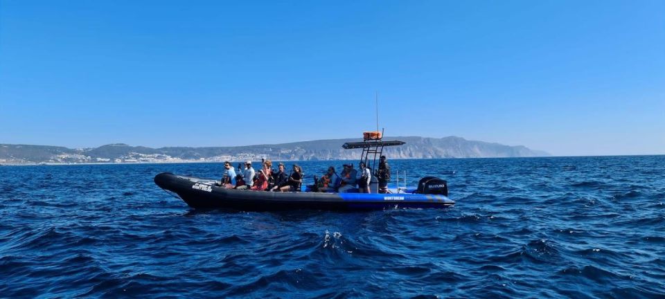 Sesimbra: Private Dolphin Watching Tour Arrábida Natural Park - Discover the Unique Ecosystem