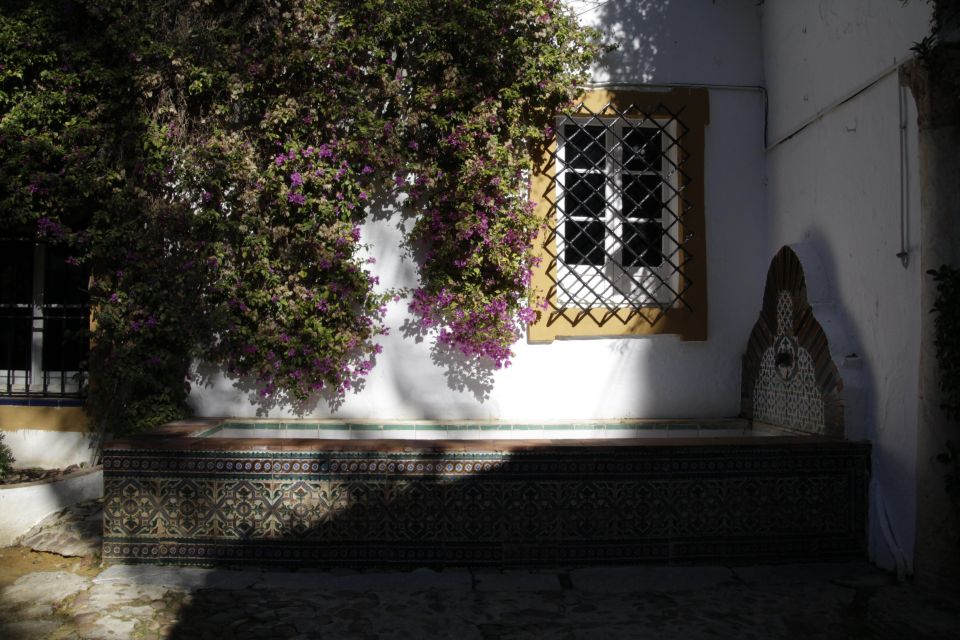 Seville: Duenas Palace Private Tour - Accessibility and Inclusions