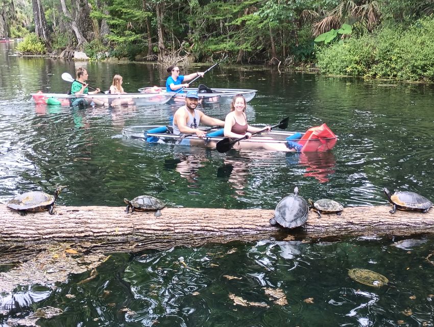 Silver Springs: Manatees and Monkeys Clear Kayak Guided Tour - Customer Feedback