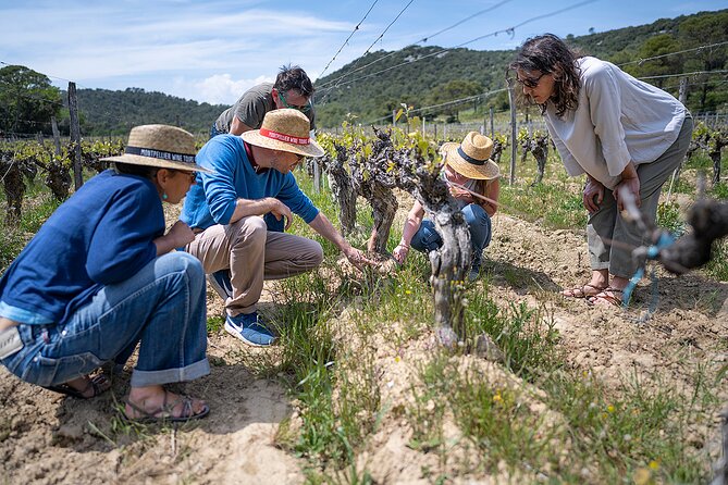 Small-Group Half-Day Languedoc Pic Saint-Loup Wine Tour From Montpellier - Tasting Workshop Experience