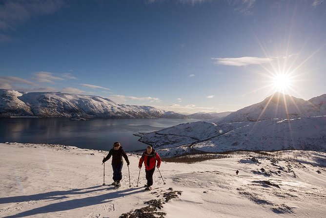 Small-Group Snowshoeing Tour From Tromso - Spotting Native Wildlife