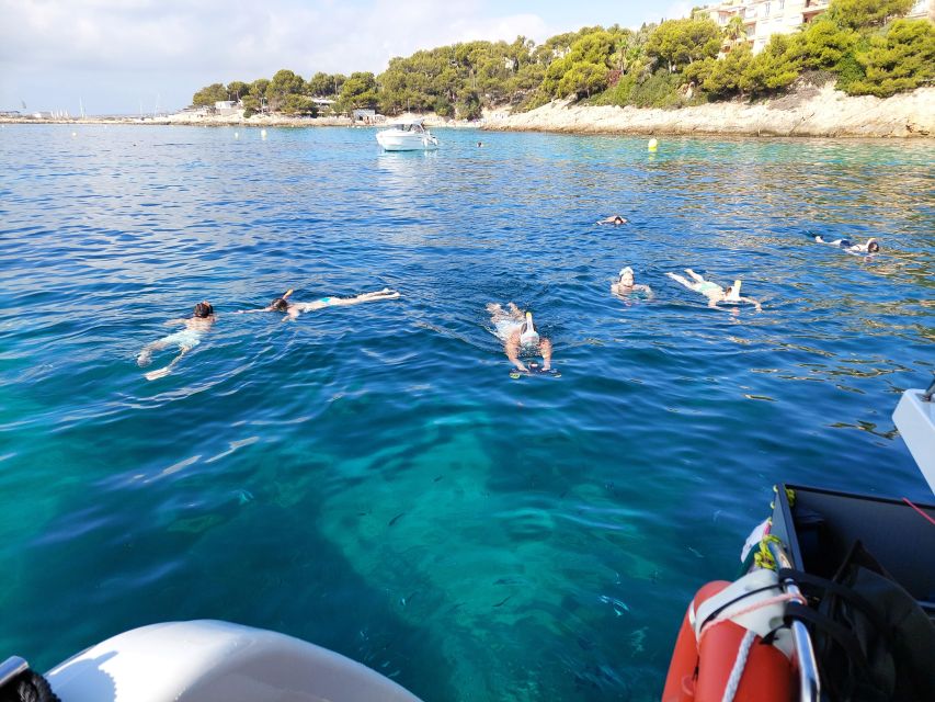 Snorkeling Experience Onboard of E-Catamaran at Palma Bay - Pricing and Booking Information