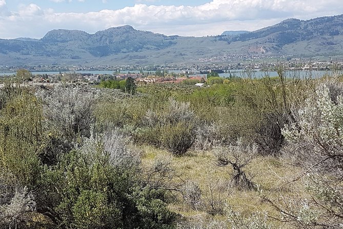 South Okanagan Desert Tour - Sightseeing Highlights