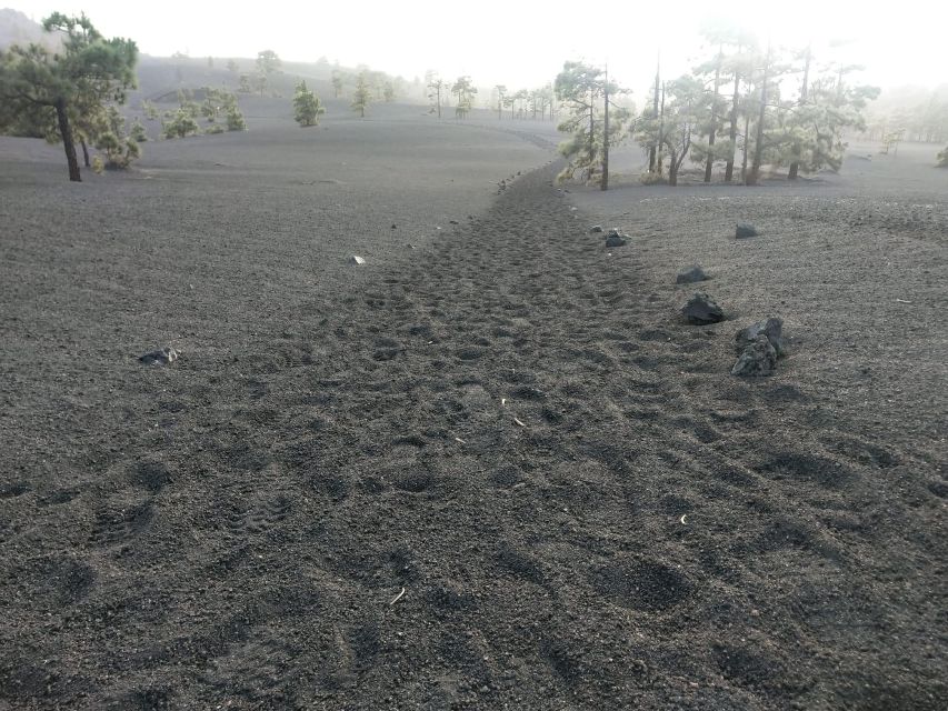 SUNSET AT THE TAJOGAITE VOLCANO (WITH GUIDE-NO TRANSFER) - Getting to the Starting Location