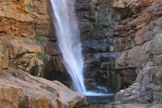 Swartberg Mountain Circular ALL Inclusive PRIVATE Day Tour - Flora and Fauna Exploration