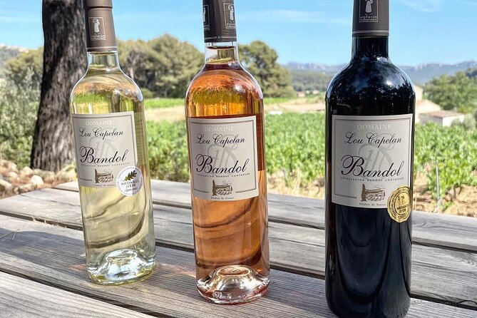 Tasting Bandol Wines & Visit of Cellar (in English) - Tailoring the Experience