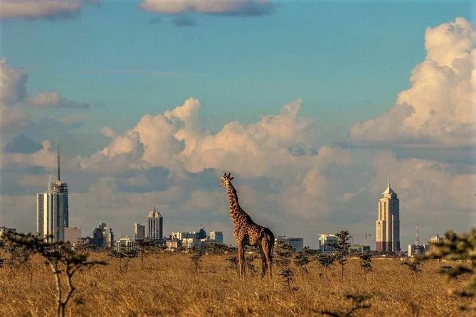 Tour: Giraffe Center and Nairobi National Park - Accessibility and Transportation