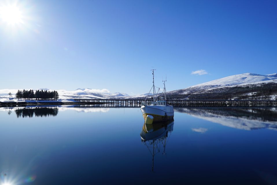 Tromsø: Fjord Cruise by Luxury Yacht - Booking and Inquiries