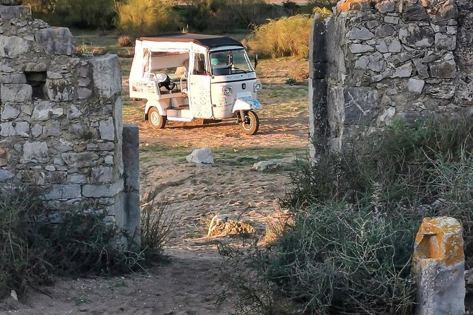 Tuk Tuk Tour Tavira Total - 2h00 - Includes Tuna Museum and Fishing Village - Tour Highlights