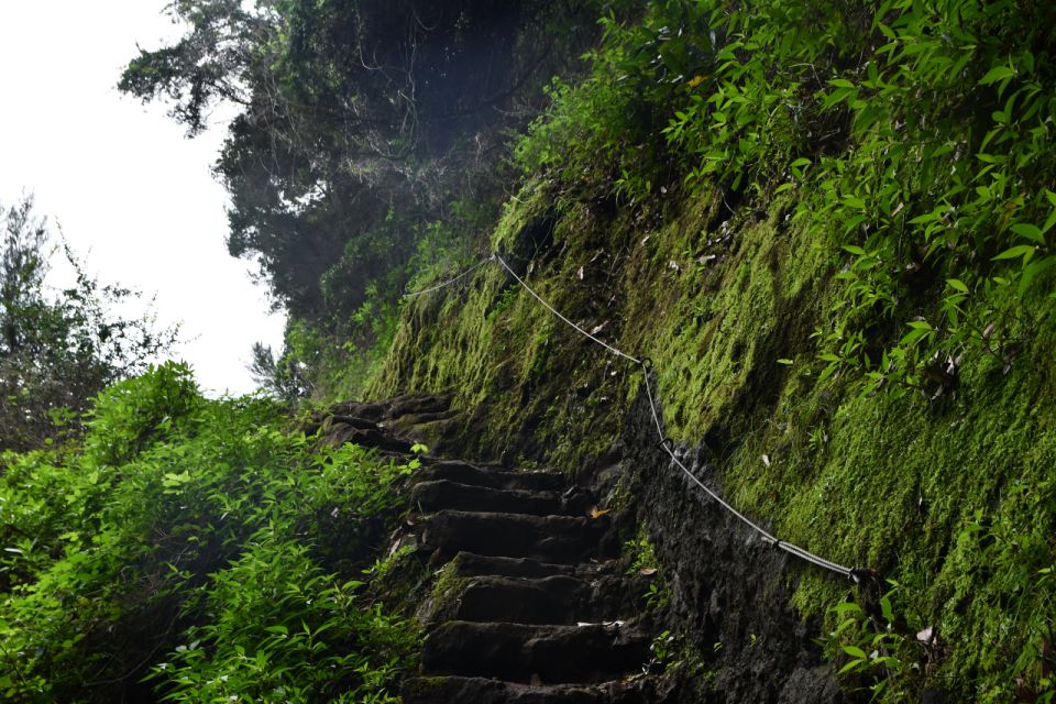 Vereda Do Larano (Larano Hike) by Overland MadeiraThe Larano Hike Is a Trail Located in Madeira, Portugal. It Is Operated by the Tour Company Overland Madeira - Recap