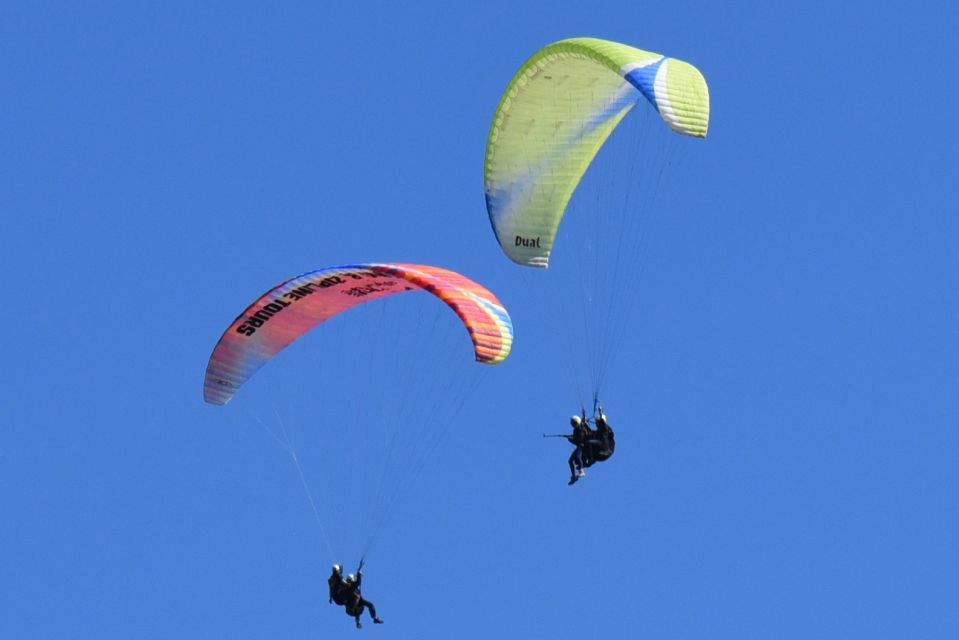 Vík: Paragliding Tandem Flight - Weather Considerations