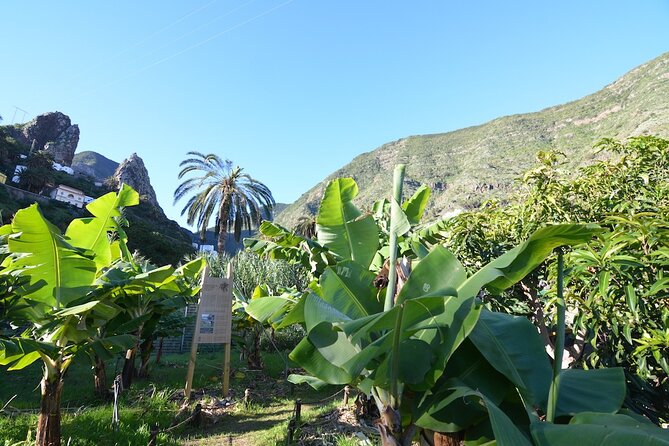 Visit the Ethnographic Park of La Gomera - About PEG Los Telares, the Operator